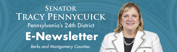 Senator Tracy Pennycuick E-Newsletter