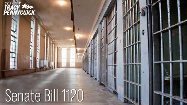 Senate Prioritizes Community Safety by Passing Bill to Strengthen Bail Determination Process for Dangerous Individuals