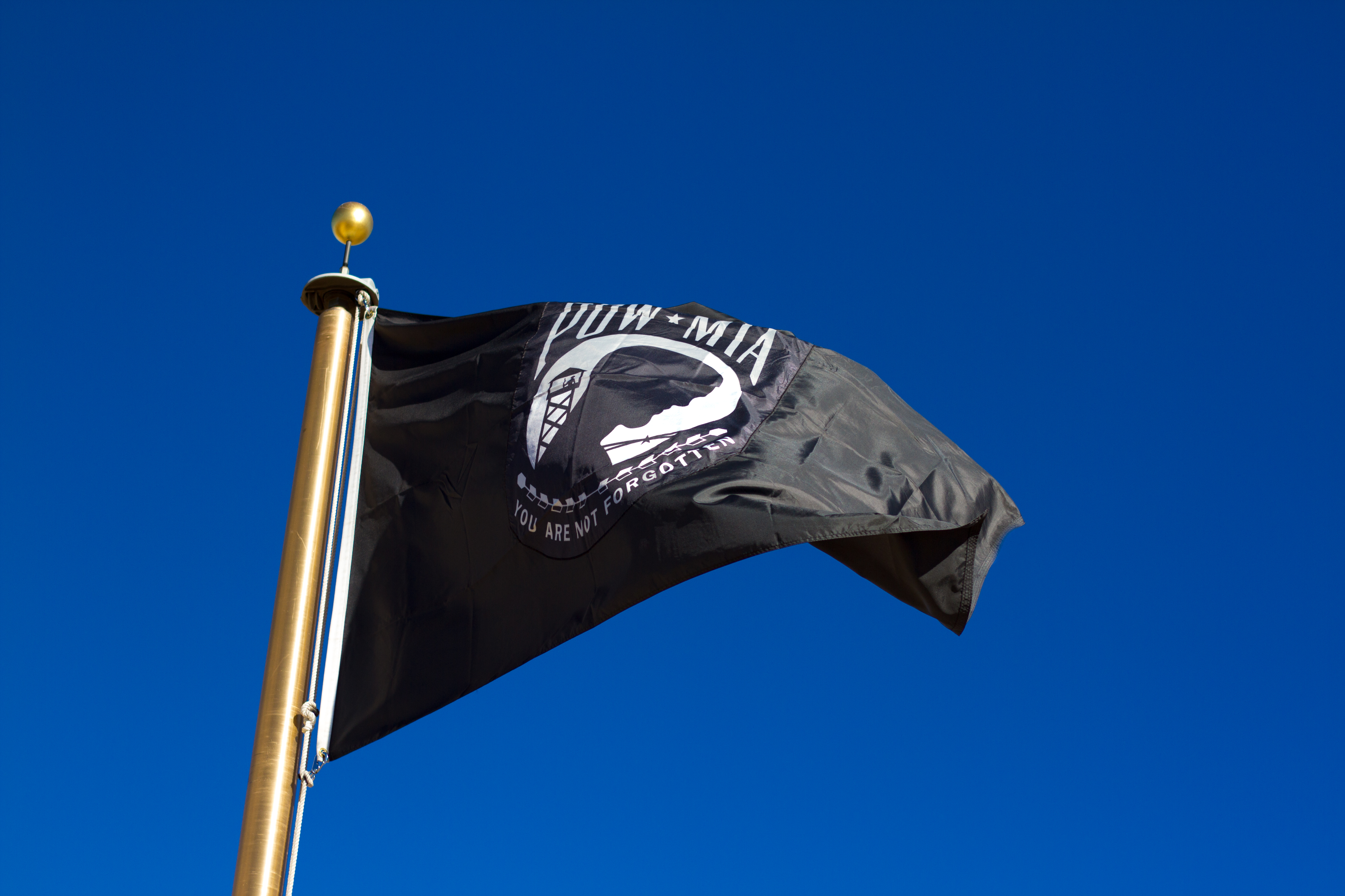 pow flag